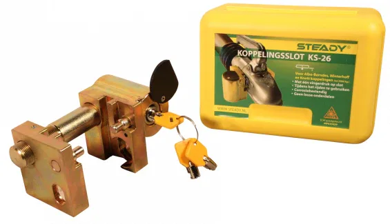 Miniatuur 1